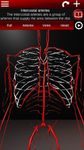 Circulatory System in 3D (Anatomy) screenshot apk 19