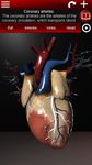 Système circulatoire en 3D (anatomie) capture d'écran apk 23