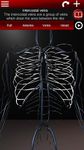 Circulatory System in 3D (Anatomy) screenshot apk 22