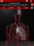 Système circulatoire en 3D (anatomie) capture d'écran apk 16