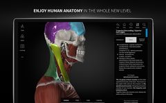 Скриншот 13 APK-версии Anatomyka - 3D human anatomy