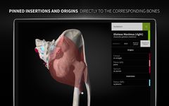 Скриншот 14 APK-версии Anatomyka - 3D human anatomy