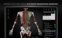 Скриншот 8 APK-версии Anatomyka - 3D human anatomy