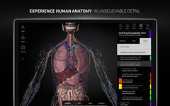 Скриншот 6 APK-версии Anatomyka - 3D human anatomy