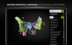 Скриншот 4 APK-версии Anatomyka - 3D human anatomy