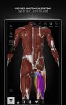Скриншот 1 APK-версии Anatomyka - 3D human anatomy