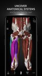 Скриншот 15 APK-версии Anatomyka - 3D human anatomy