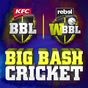 Big Bash Cricket apk icono