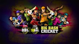 Картинка 6 Big Bash Cricket