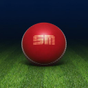Cricket Live: Big Bash (BBL) & Test Live Scores apk icon