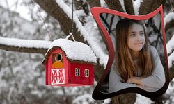 Imagem 4 do Winter Photo Frames