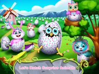 Caring Baby Eggs-Animal Spa Salon 이미지 2