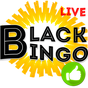 Bingo ao Vivo Exclusivo APK