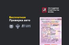 Проверка авто по базам ГИБДД по VIN и ГОСНОМЕРУ Screenshot APK 11