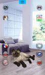 Sprechende Katze Screenshot APK 6