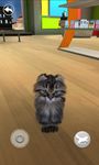 Sprechende Katze Screenshot APK 5