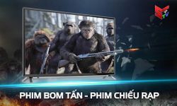 STV Play Cho Smart TV - Truyền Hình Trực Tuyến ảnh màn hình apk 6