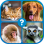 Guess the Word. Word Games Puzzle. icon