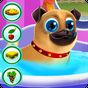 My little Pug - Care and Play Simgesi