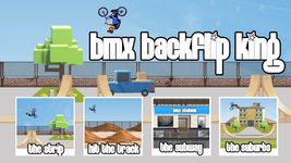 BMX Backflip King image 11