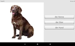 Nauka niemieckich słówek z Smart-Teacher zrzut z ekranu apk 4
