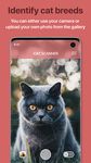 Скриншот 7 APK-версии Cat Scanner