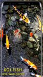 3D Koi Fish Wallpaper HD Fish Live Wallpapers Free image 6