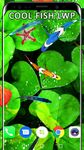 3D Koi Fish Wallpaper HD Fish Live Wallpapers Free image 5