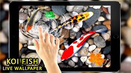 3D Koi Fish Wallpaper HD Fish Live Wallpapers Free image 4