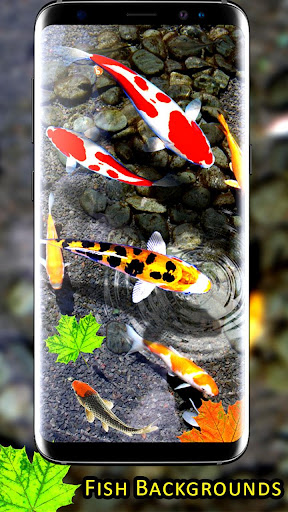 Tải miễn phí APK cá koi hình nền sống: cá nền hd fish wallpapers Android