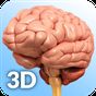 Brain Anatomy Pro. Simgesi