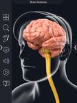 Brain Anatomy Pro. screenshot apk 2