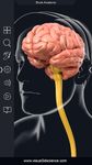 Brain Anatomy Pro. screenshot apk 11