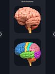 Brain Anatomy Pro. screenshot apk 4