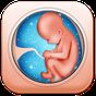 Icoană apk Pregnancy Care Healthy Diet & Nutrition Foods Help