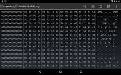 ภาพหน้าจอที่  ของ HEX Editor