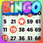 Иконка Bingo — бесплатные офлайн-игры Bingo