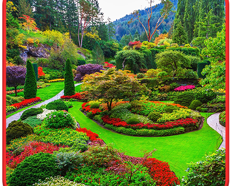 Garden Live Wallpapers Hd Apk Free App For Android - Garden Live Wallpaper Image