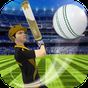 Cricket Multiplayer APK