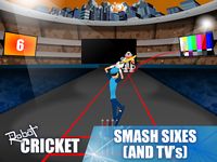 Imagem 7 do Robot Cricket