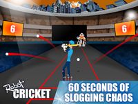 Imagem 3 do Robot Cricket