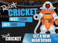 Imagem  do Robot Cricket