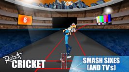 Imagem 11 do Robot Cricket