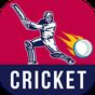 Live Cricket T20 odi TV APK