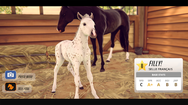 rival stars horse racing new update