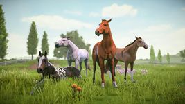 Скриншот 14 APK-версии Rival Stars Horse Racing