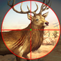 Ícone do apk Hunting Sniper 3D