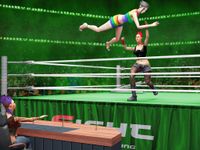 Tag Team Supersterren worstelen 2019: Hell In Cell afbeelding 4