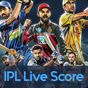 Crick Feed – Live Cricket score & Update apk icon