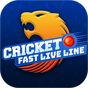 Cricket Fast Live Line icon